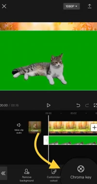 How to Add Background in CapCut WithWithout Green Screen